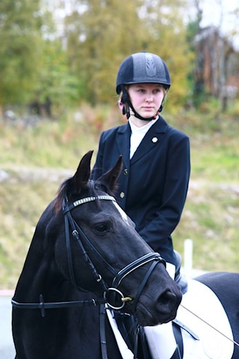Hauststevne Gjeldokk